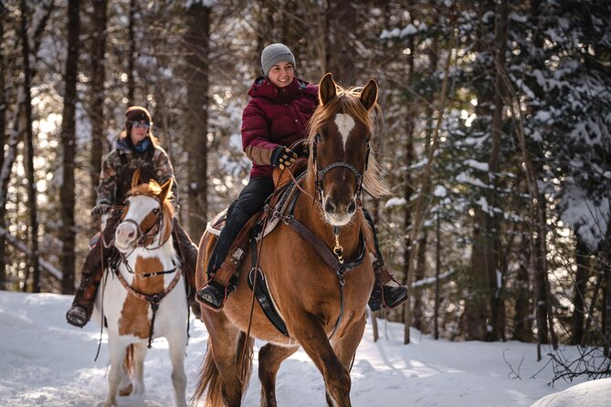 Guided Horse Riding in the Bay of Saint Paul Valley - Why this Baie-Saint-Paul ride is worth considering