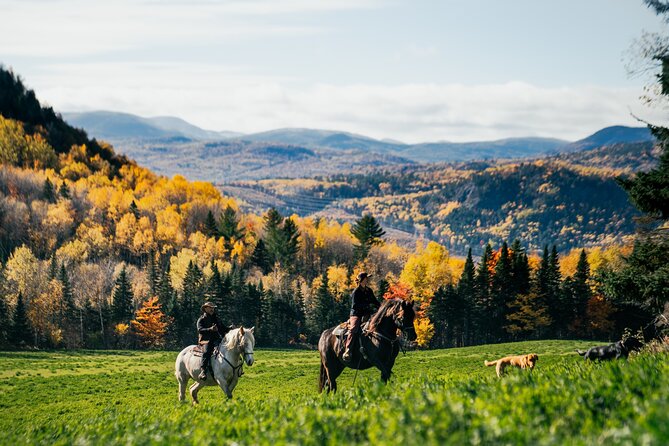 Guided Horse Riding in the Bay of Saint Paul Valley - Snowy rides and shaded summer paths