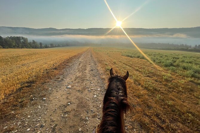 Guided Horse Riding in the Bay of Saint Paul Valley - Who should book this experience