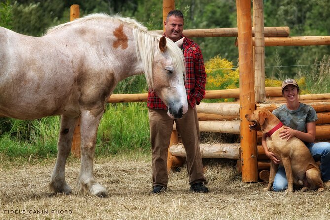 Guided Horse Riding in the Bay of Saint Paul Valley - Meeting the horses at 157 Chemin Saint-Ours