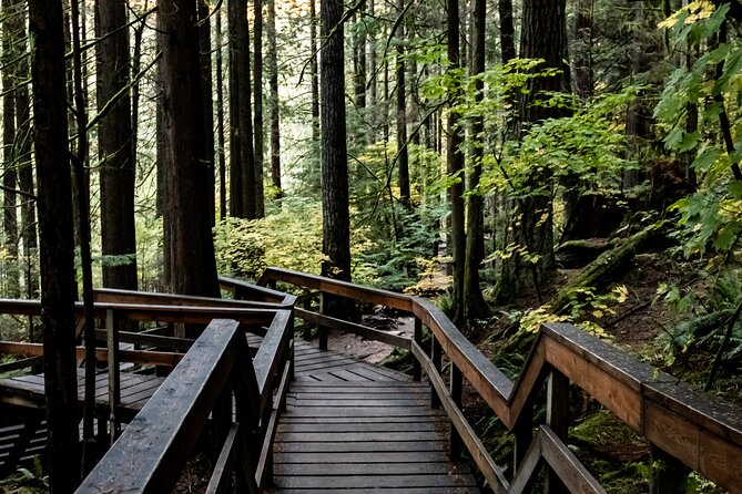 Guided Rainforest & Suspension Bridge Private Hike - Pickup in a white Toyota Tacoma