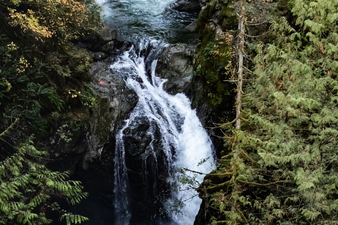 Guided Rainforest & Suspension Bridge Private Hike - Price, timing, and who gets the best value