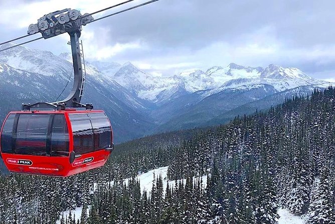 Guided Sightseeing Tour in Vancouver, Shannon Falls and Whistler - Eagle viewing is seasonal, not guaranteed