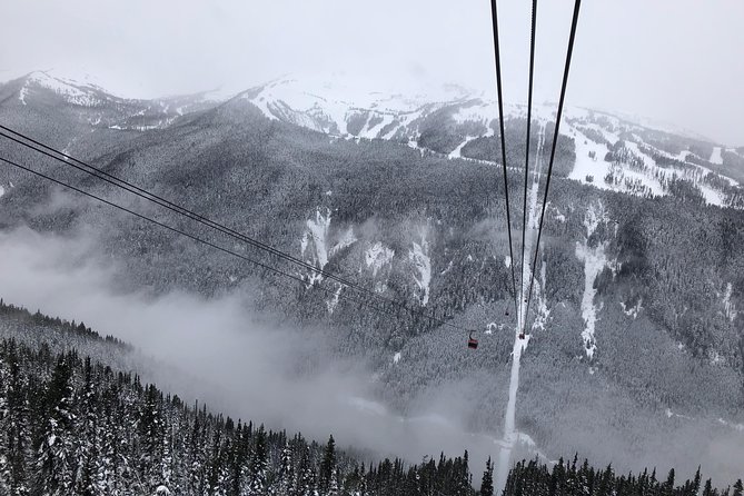 Guided Sightseeing Tour in Vancouver, Shannon Falls and Whistler - Is $187.75 a fair price?