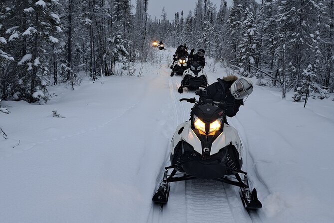 Guided Snowmobile Adventure - Assessing the $120.16 price