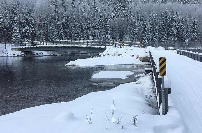 Guided Snowmobile Tours - What the small group changes