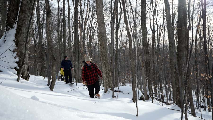 Guided Snowshoe Tour in Mont-Tremblant - Key points to know before you book