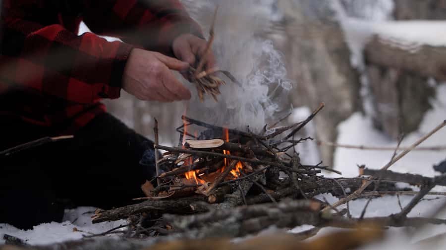 Guided Snowshoe Tour in Mont-Tremblant - Learning the flora and fauna as you walk