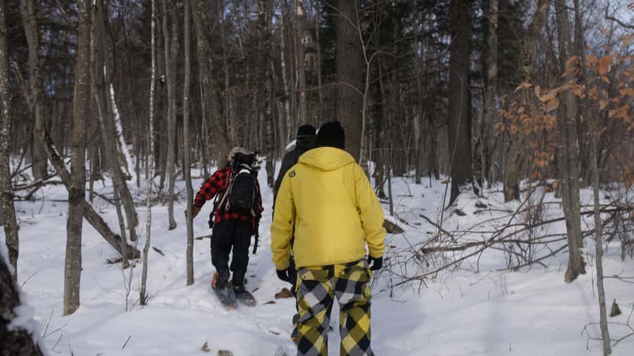 Guided Snowshoe Tour in Mont-Tremblant - Clothing and preparation for a comfortable walk