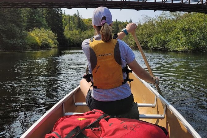 Guided Tours Algonquin Park - Small groups can make a big difference