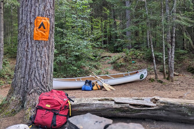 Guided Tours Algonquin Park - Lunch and an all-day schedule