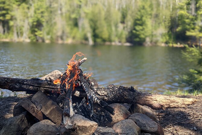 Guided Tours Algonquin Park - What the $93.36 price includes