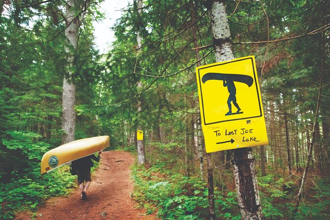 Guided Tours Algonquin Park - Meeting at 9:30 a.m. in Dwight