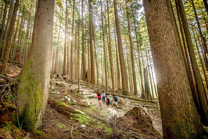 Guided Vancouver Hiking Highlights Day Tour with Gondola Download - A seven-hour day that mixes city and forest