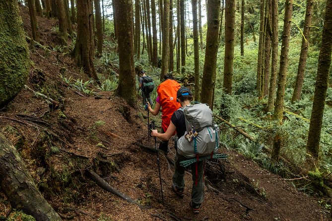 Guided Vancouver Hiking Highlights Day Tour with Gondola Download - The gondola ride down is more than transport
