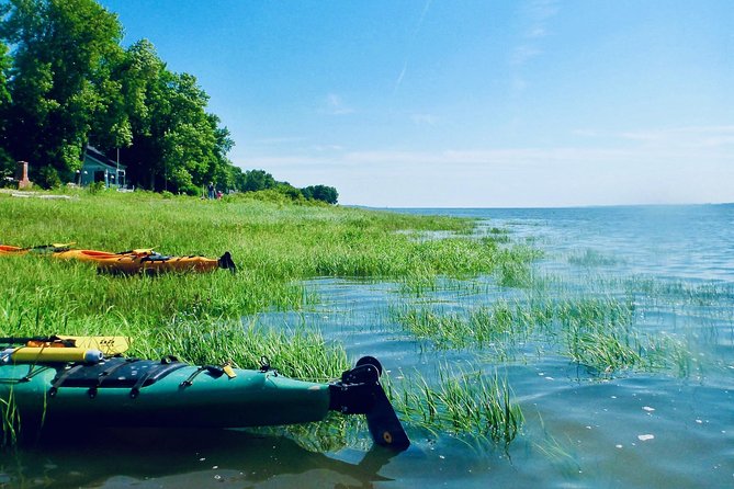 Half-Day Orleans Island Small-Group Sea Kayaking Tour - Why the St. Lawrence River is the main attraction