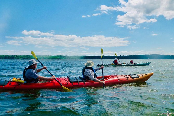Half-Day Orleans Island Small-Group Sea Kayaking Tour - The equipment takes much of the guesswork away
