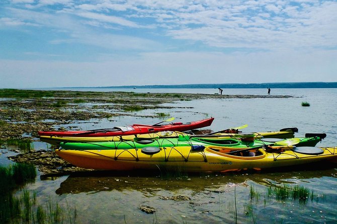 Half-Day Orleans Island Small-Group Sea Kayaking Tour - Orléans Island from a quieter angle