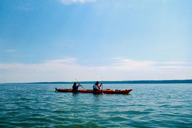 Half-Day Orleans Island Small-Group Sea Kayaking Tour - Getting there is the biggest practical hurdle