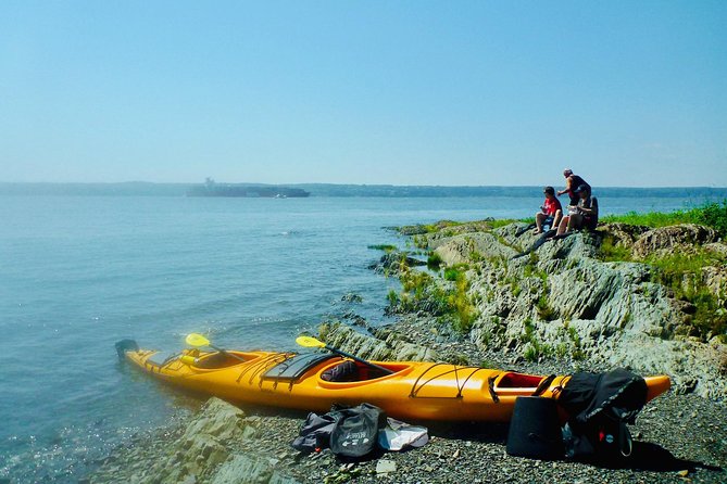 Half-Day Orleans Island Small-Group Sea Kayaking Tour - Is $59.20 a fair price?
