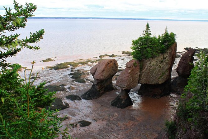 Half-Day Small-Group Tour of Annapolis Valley - Six things to know before you book