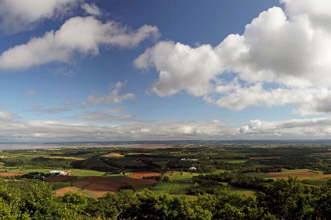 Half-Day Small-Group Tour of Annapolis Valley - Hall’s Harbour and the pull of the Bay of Fundy