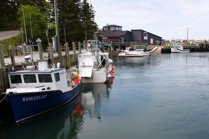 Half-Day Small-Group Tour of Annapolis Valley - Wolfville and Acadia University along the way