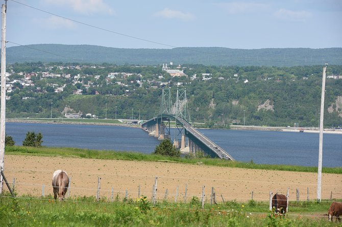 Half-Day Trip to Montmorency Falls and Ste-Anne-de-Beaupré from Quebec city - Guides, buses, and the feel of the ride