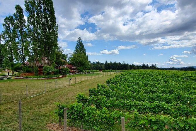 Half-Day Victoria to Cowichan Valley Wine Tour with Tastings - Who will enjoy this half-day outing?