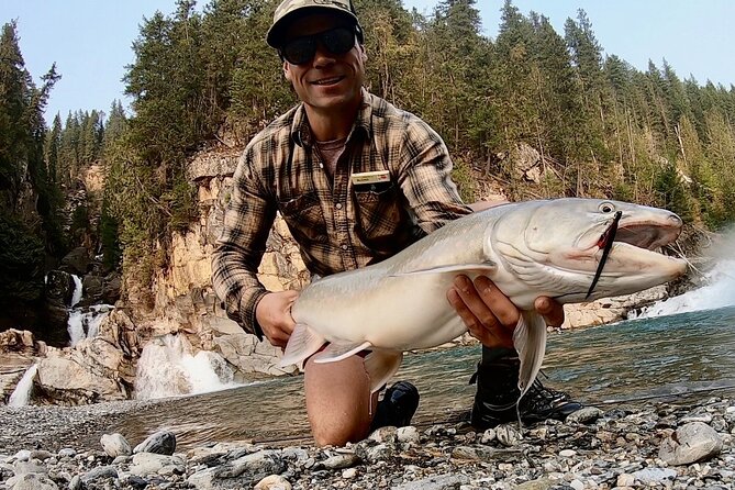 Half Day Walk&Wade (Fly-Fishing / Spin Casting from shore) - Key points to know before you book