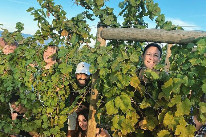 Half-Day West Kelowna Afternoon Wine tour - A 1:00 pm start that leaves your morning free