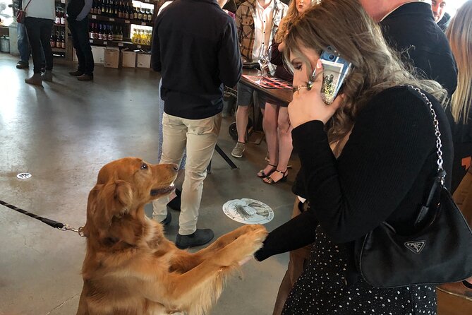 Half-Day West Kelowna Afternoon Wine tour - What the $119.34 price really covers