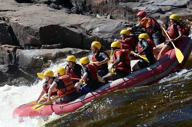 Half-Day White Water Rafting on the Rouge River - Two hours of rapids, pools, and sandy beaches