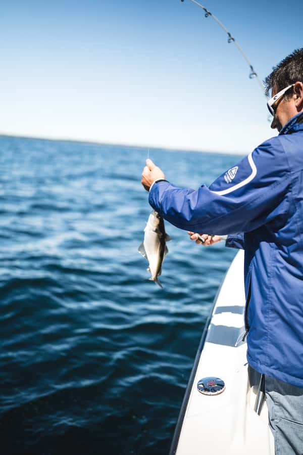 Halifax: 2-Hour Deep Sea Fishing Tour - What You Can Catch and What You Can Keep