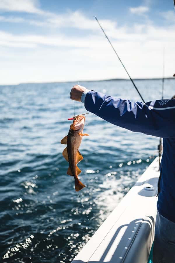 Halifax: 2-Hour Deep Sea Fishing Tour - Who Will Enjoy This Most?