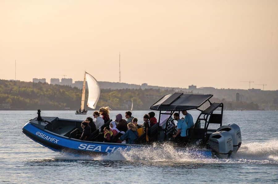 Halifax: 50-Minute Boat Tour of the Harbour - Starting at Halifax’s Lower Water Street