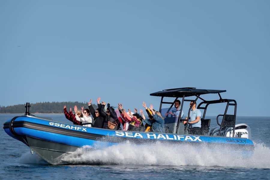 Halifax: 50-Minute Boat Tour of the Harbour - What the 50-minute route feels like