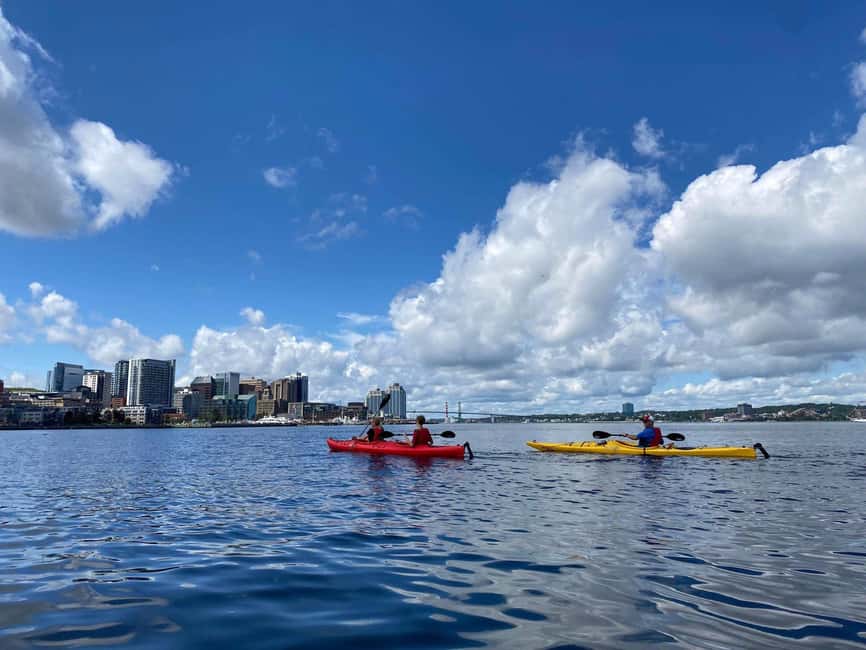 Halifax: Guided Kayak Tour with Multiple Options - Key points for choosing your Halifax paddle