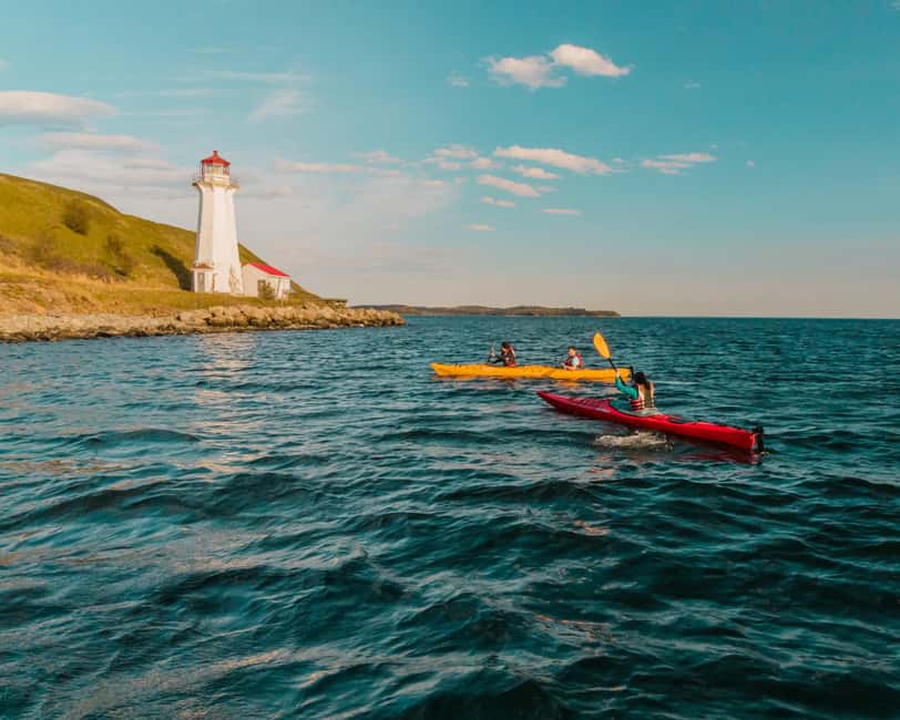 Halifax: Guided Kayak Tour with Multiple Options - Picking the right Halifax kayak tour