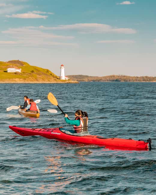 Halifax: Guided Kayak Tour with Multiple Options - What the guides add to the experience