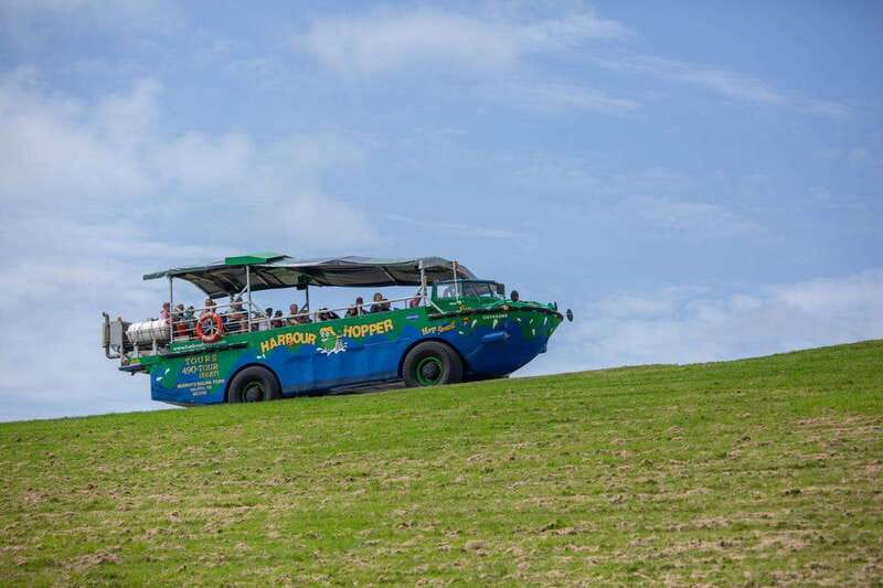 Halifax: Harbour Hopper City & Water Cruise in a Duck Boat - Who will enjoy this ride most?