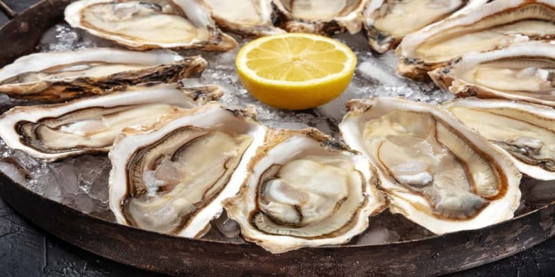 Halifax Harbourfront Food Walking Tour - The waterfront walk and first oysters
