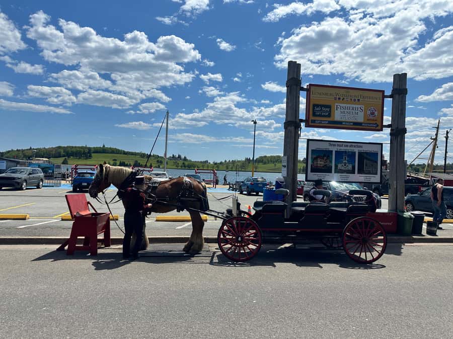 Halifax: Lunenburg and Mahone Bay Private Tour - Practical advice for making the four hours count