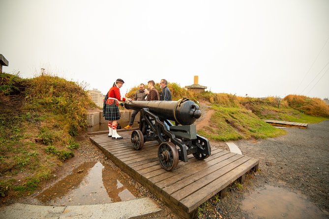 Halifax Premium Tour: Peggy's Cove, Citadel & Titanic Cemetery - Halifax’s downtown sights from the vehicle