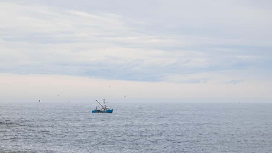 Halifax Small-Group Express To Peggy’s Cove - Two hours to explore the village and shops