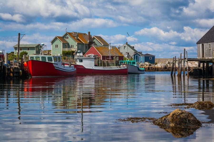 Halifax Small-Group Express To Peggy’s Cove - Guide quality can shape the whole outing