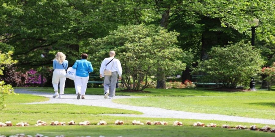 Halifax: Small Group Walking Tour with Citadel & Museum - The Art Gallery of Nova Scotia on the way downhill