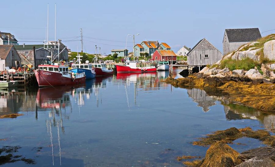 Halifax: South Coast Nova Scotia Private Day Tour - Peggy’s Cove and its granite shore