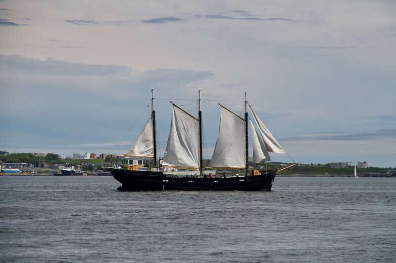 Halifax: Tall Ship Harbor Sailing Cruise with Live Music - Key Points Before You Sail