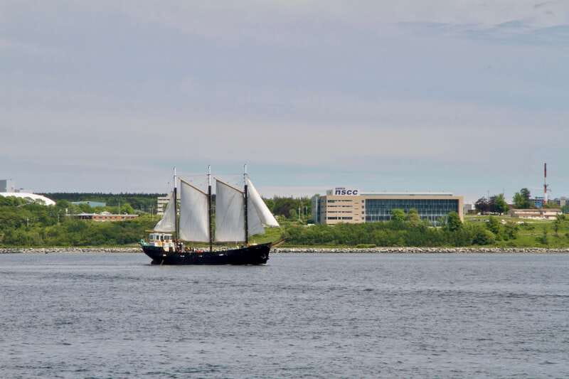 Halifax: Tall Ship Harbor Sailing Cruise with Live Music - Sun, Seating, and Comfort on a Two-Hour Cruise